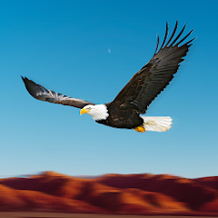 Bird Race Game 3D: Eagle Games 