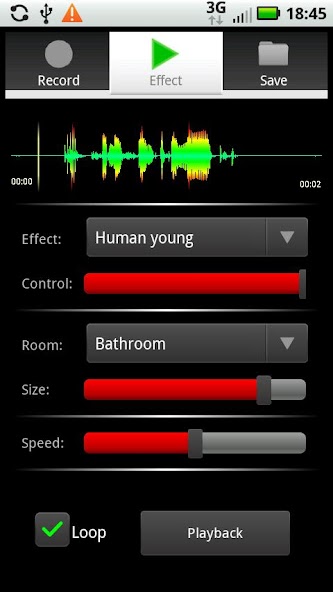 Voice Processor Pro