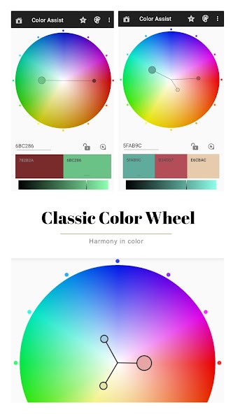 Color Assist