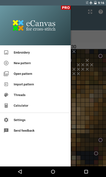 eCanvas for cross-stitch PRO