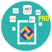 Learn .Net Framework Pro