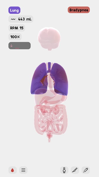 LIFE - Experiment with human b