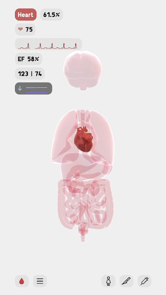 LIFE - Experiment with human b